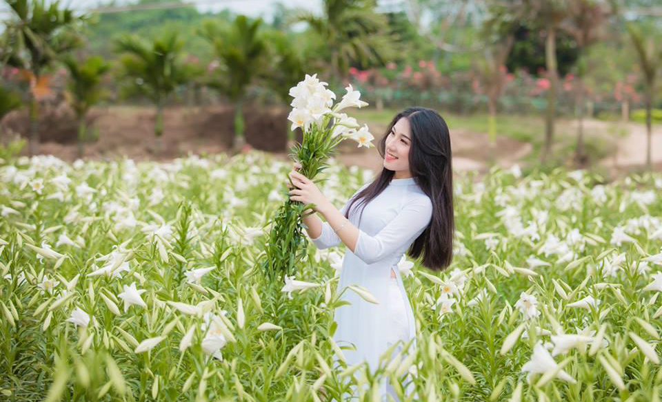 4 địa điểm chụp ảnh hoa loa kèn lý tưởng, cứ đến là dễ có ảnh xinh mang về