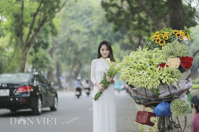 Đường Phan Đình Phùng với 2 hàng cây mộng mơ và những xe hoa vô cùng lý tưởng để chụp ảnh loa kèn.