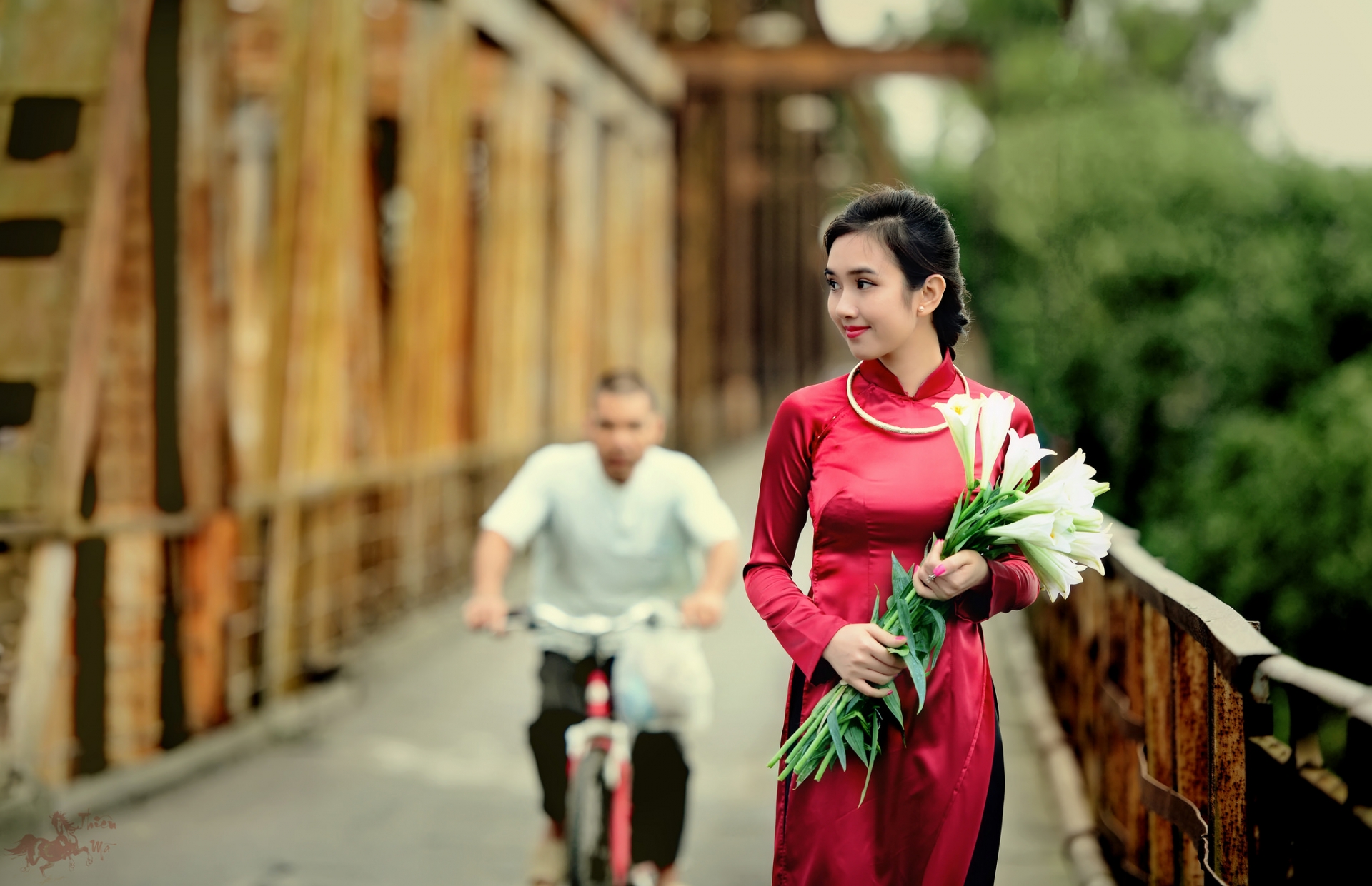 Cầu Long Biên cũng là bối cảnh chụp hoa loa kèn đẹp.