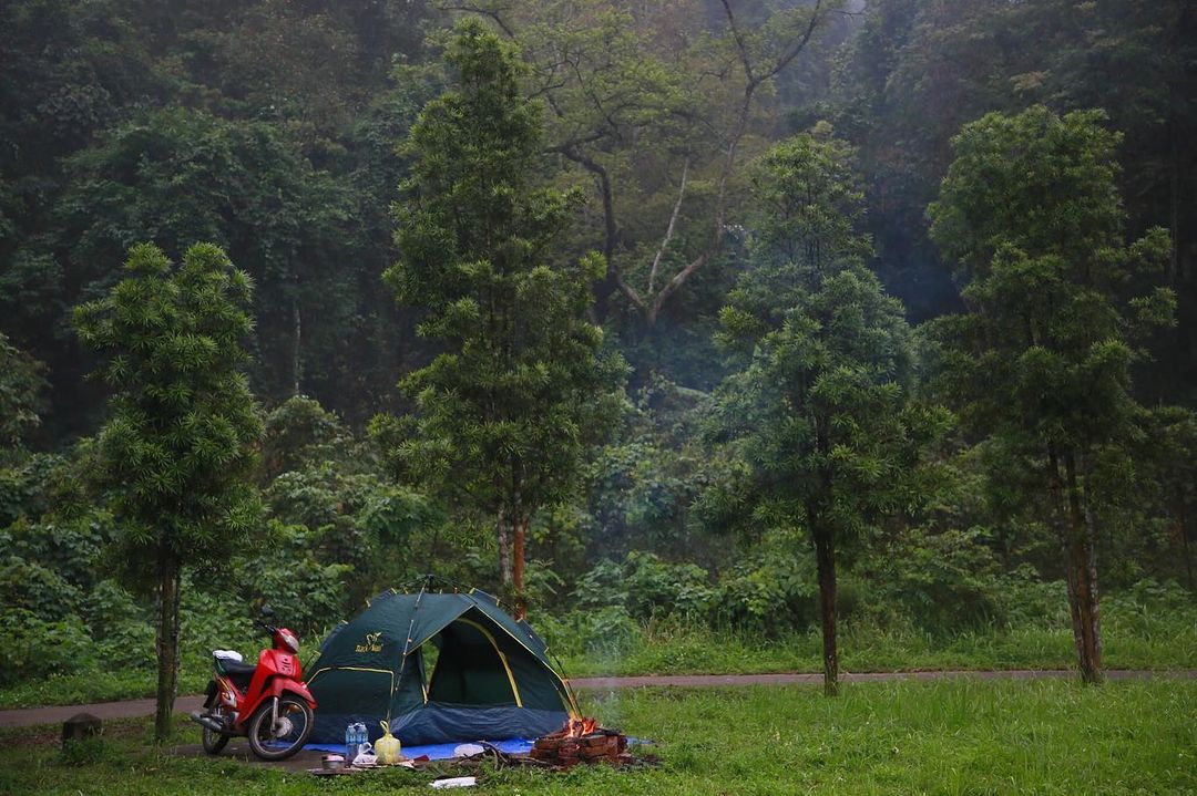 Bãi cắm trại trong rừng Cúc Phương để bạn và gia đình có thể dựng lều.