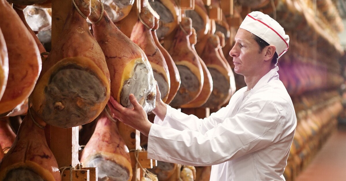 Những chiếc đùi lợn để chế biến ra Parma Ham có trọng lượng từ 12 đến 14kg.