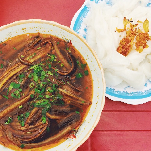 Súp lươn là món ăn sáng phổ biến và rất được ưa thích tại Nghệ An. - Ảnh: v__v__a__