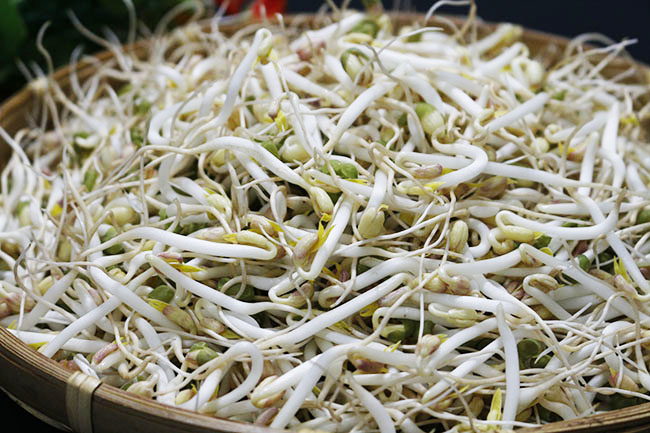 Mẹo hay bảo quản giá đỗ trong tủ lạnh tươi ngon cả tuần