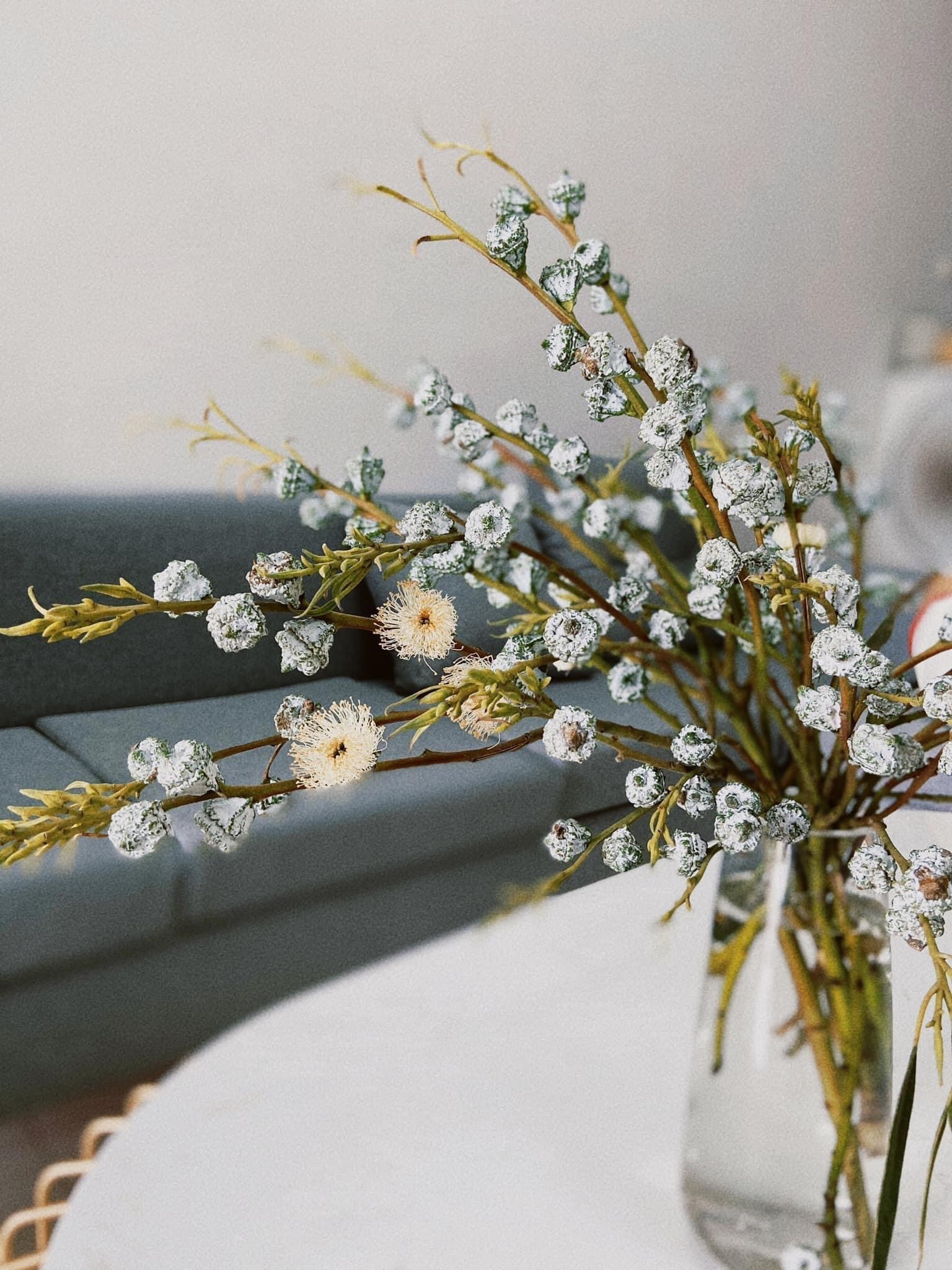 Lọ hoa bạch đàn - Ảnh: Nguyễn Thị Hoài