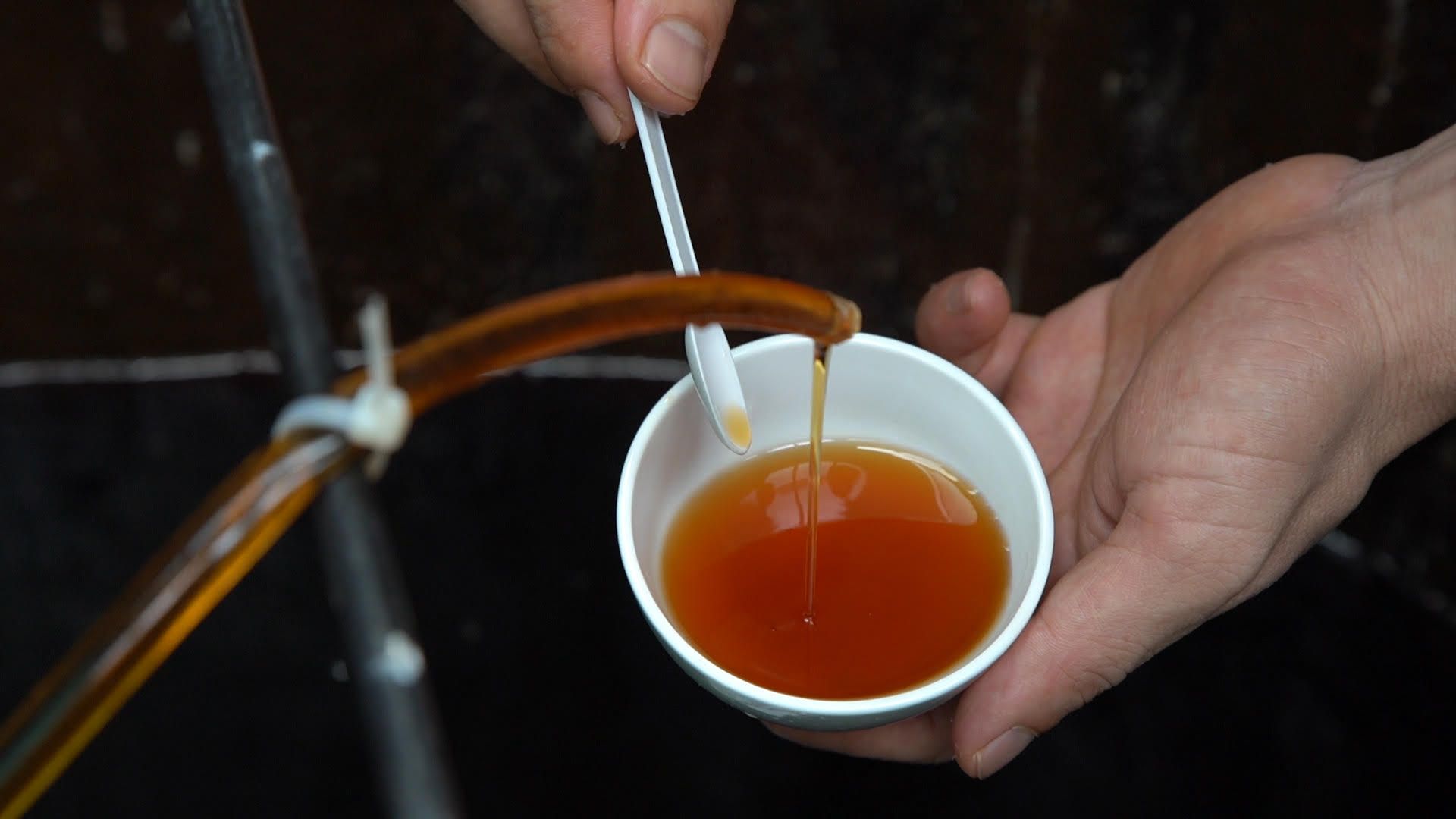 Cách làm nước mắm tại gia ngon chuẩn vị Phú Quốc mà không lo hóa chất