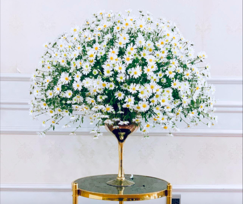 Mẹ Việt hướng dẫn cách cắm hoa cúc họa mi 10 ngày vẫn tươi đẹp mà không cần dùng xốp