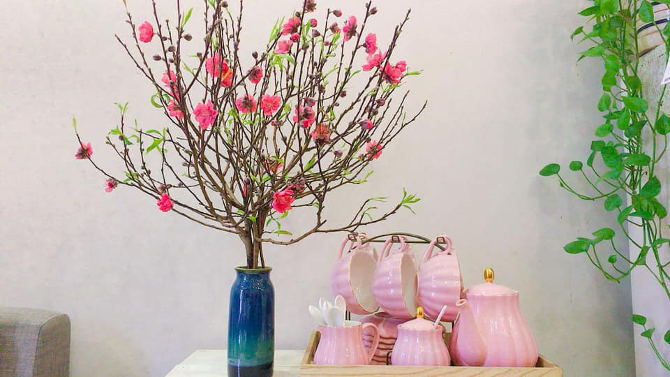 Tết này đừng dùng nước lã cắm cành đào nữa, mà hãy cho thứ này vào hoa đào sẽ tươi lâu cả tháng