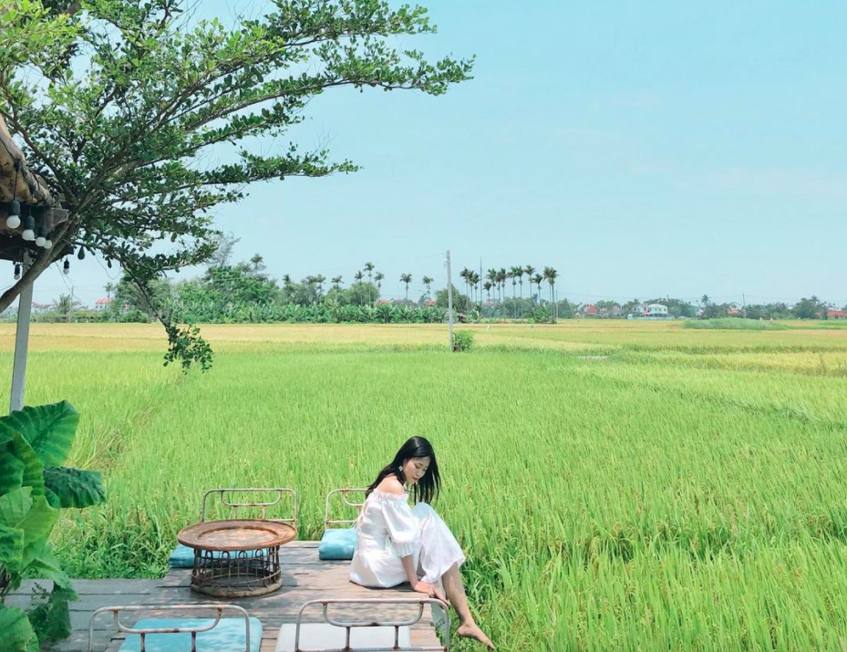 3 quán cà phê Hội An có view đồng lúa thơ mộng làm mới chuyến du lịch Hội An quen thuộc