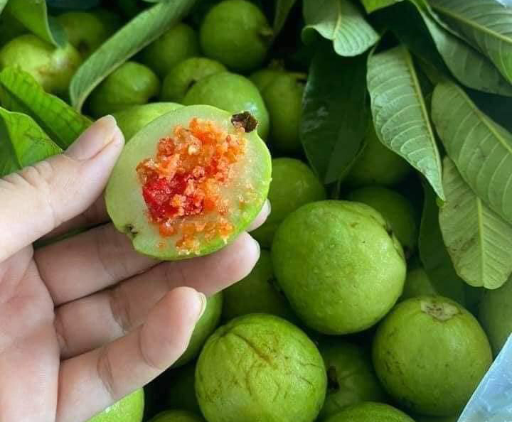 5 mẹo chọn ổi mà bạn nên biết để luôn mua được ổi vừa ngọt vừa giòn