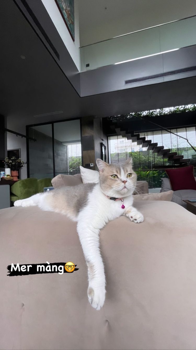 Biệt thự khủng của vợ chồng Tóc Tiên: không gian xanh đáng mơ ước, có cả studio lẫn phòng gym - Ảnh 4