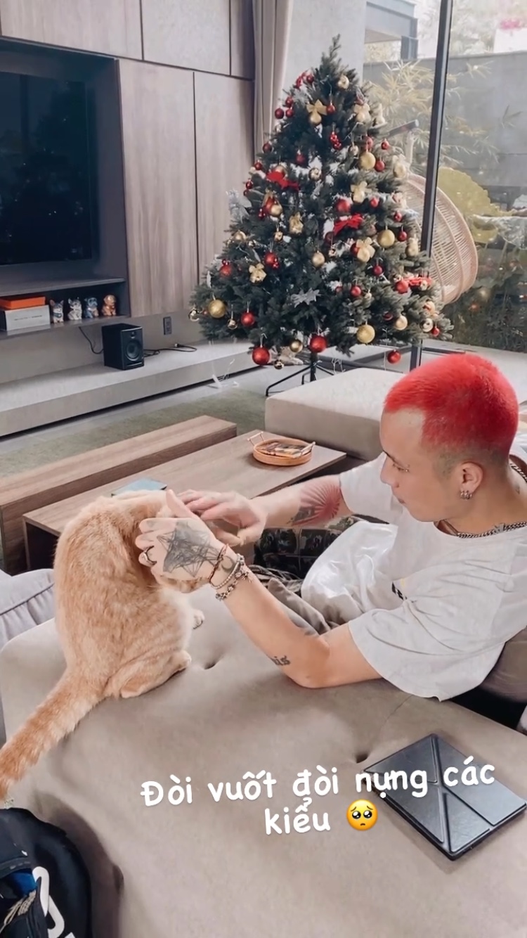 Biệt thự khủng của vợ chồng Tóc Tiên: không gian xanh đáng mơ ước, có cả studio lẫn phòng gym - Ảnh 8