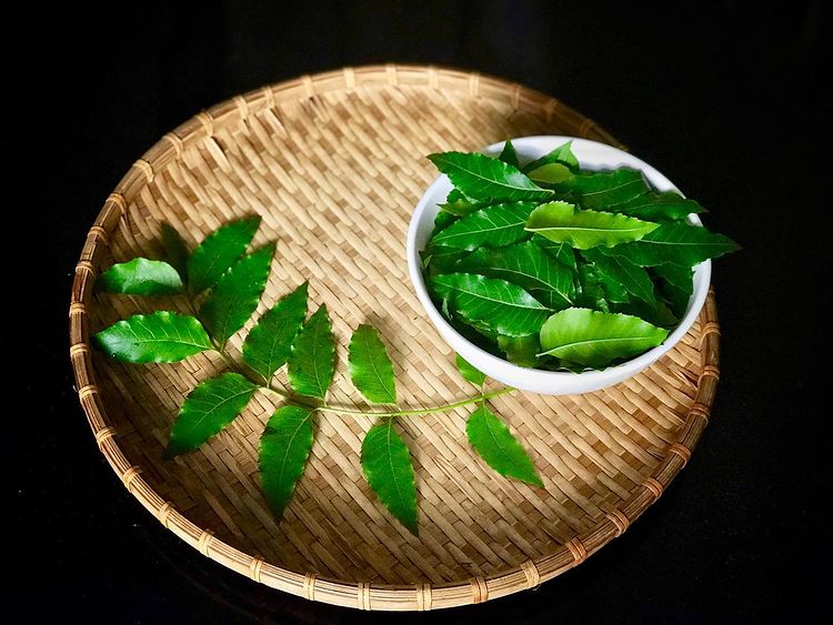 5 món gỏi “ăn là nghiền” ở miền Tây, đặc biệt từ nguyên liệu cho đến cách chế biến - Ảnh 1