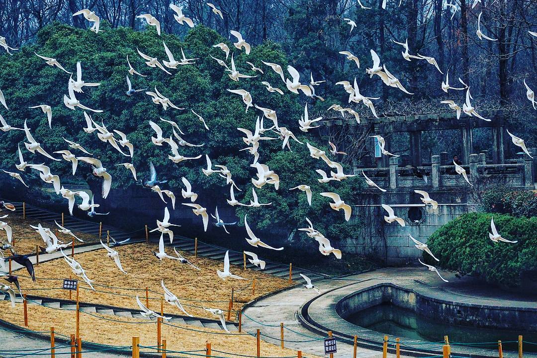 Nhạc đài Nam Kinh - vẻ đẹp tráng lệ của kỳ quan kiến trúc Trung Quốc - Ảnh 1