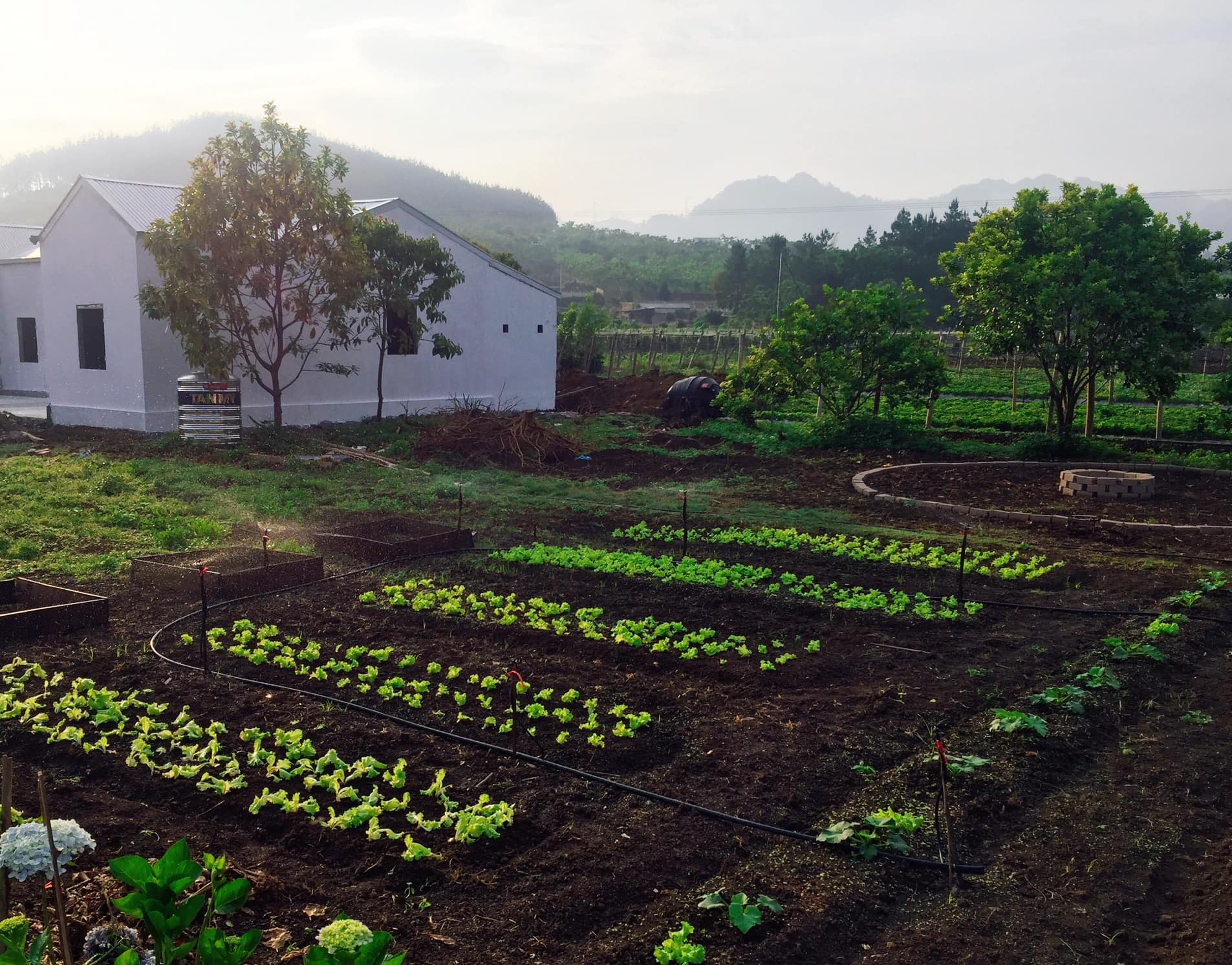 9X chi 300 triệu và hành trình biến nhà kho cũ thành ngôi nhà nông trại trong mơ  - Ảnh 1