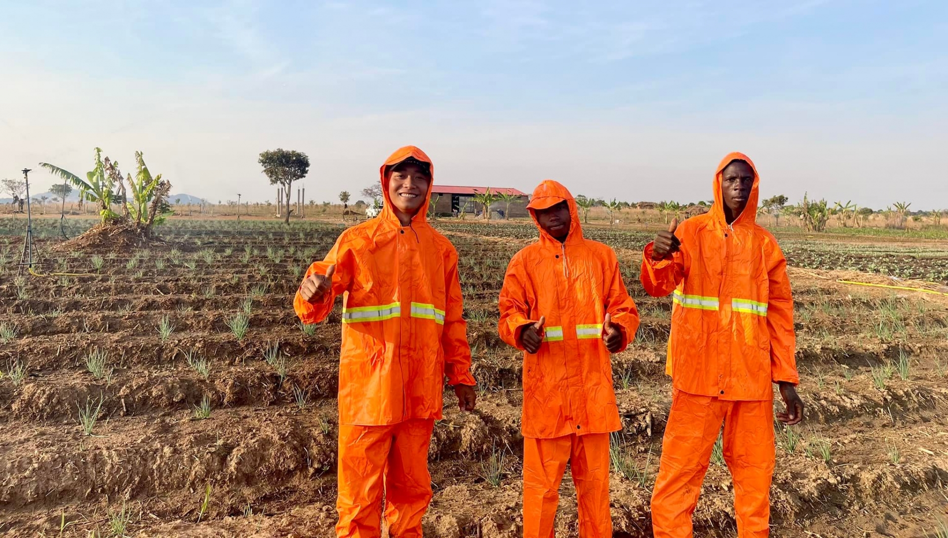 Quang Linh Vlogs hứa tặng fan mỗi người một bắp ngô, điều kiện được nhận siêu "lầy lội"