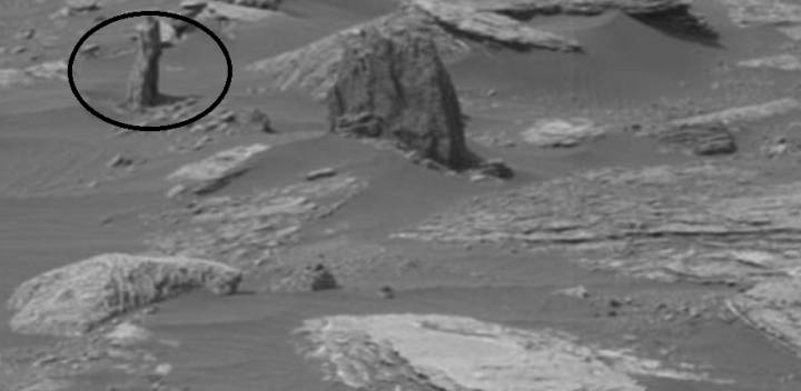 Tàu vũ trụ chụp được hình ảnh gốc cây rõ nét trên sao Hỏa - Ảnh 1