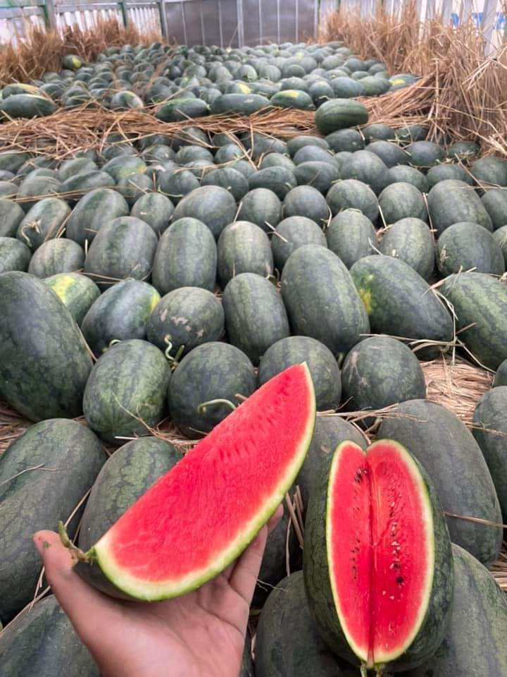 3 loại quả Việt ăn quanh năm không lo 