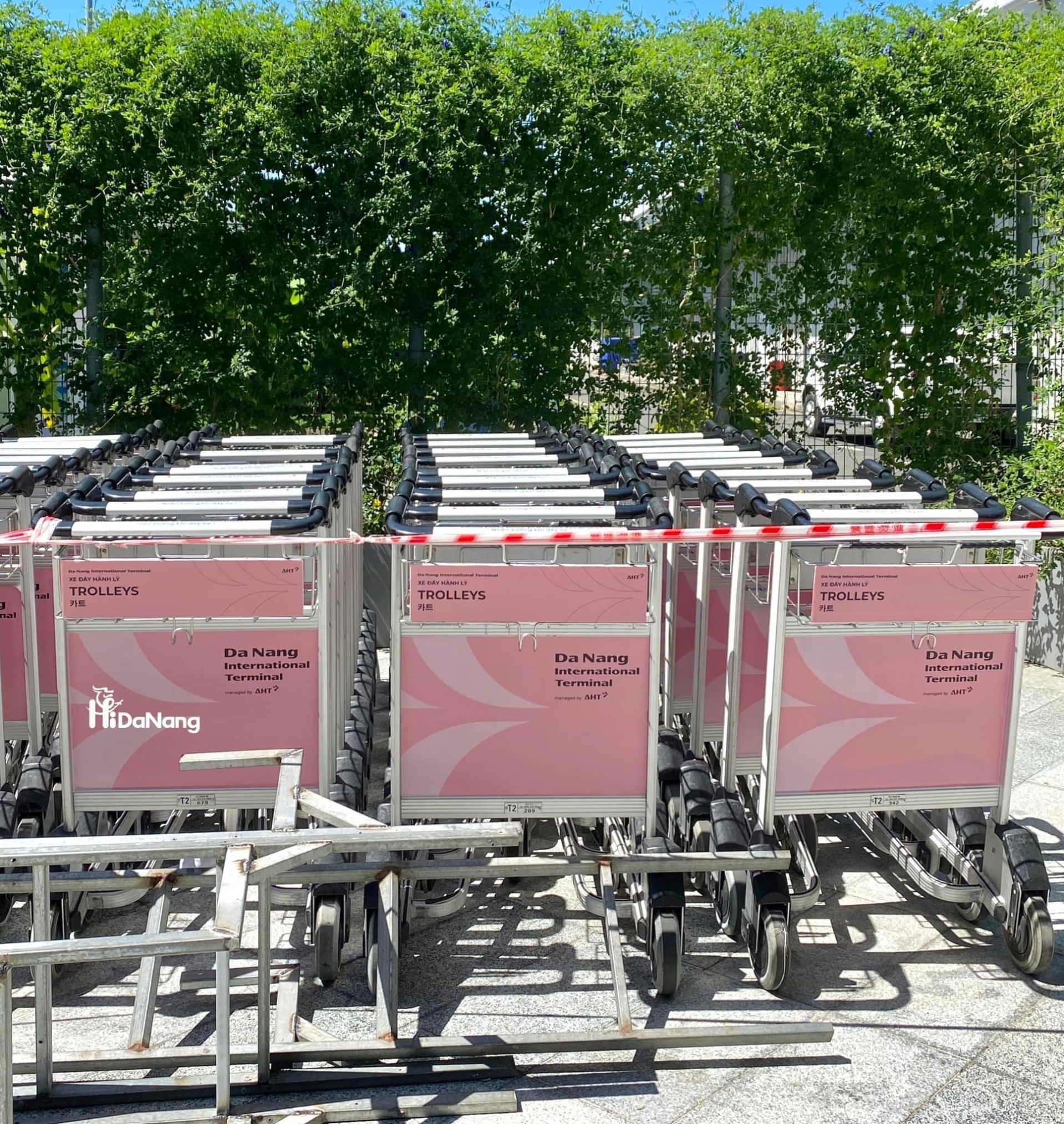 Nguồn: Hi Đà Nẵng