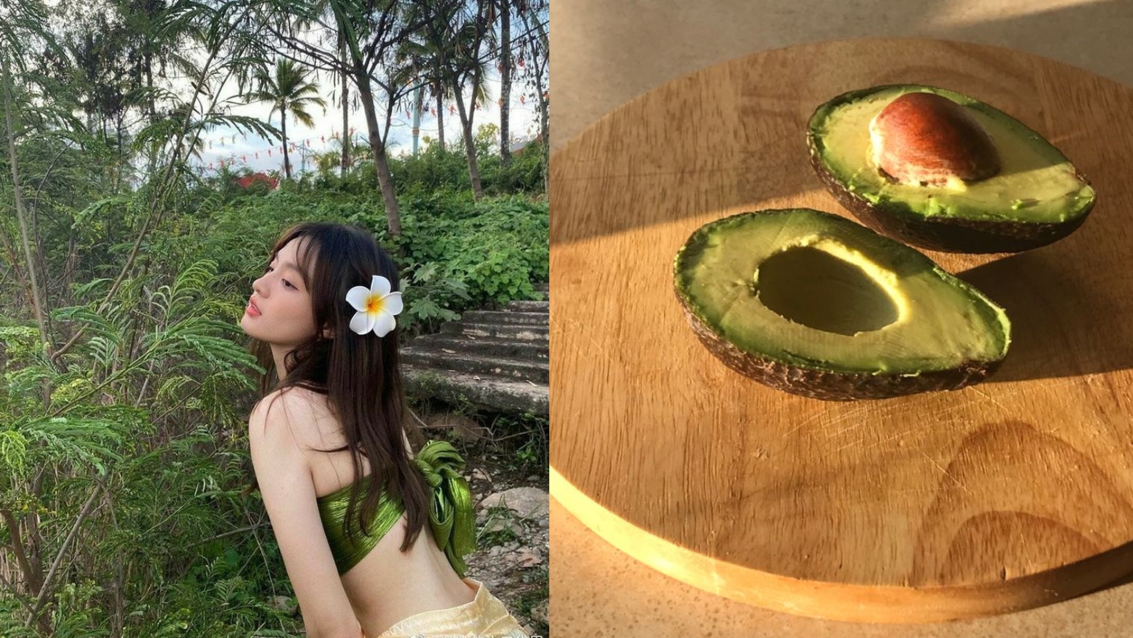 7 công dụng vượt trội từ chiết xuất quả bơ: da mịn màng và mái tóc lấp lánh