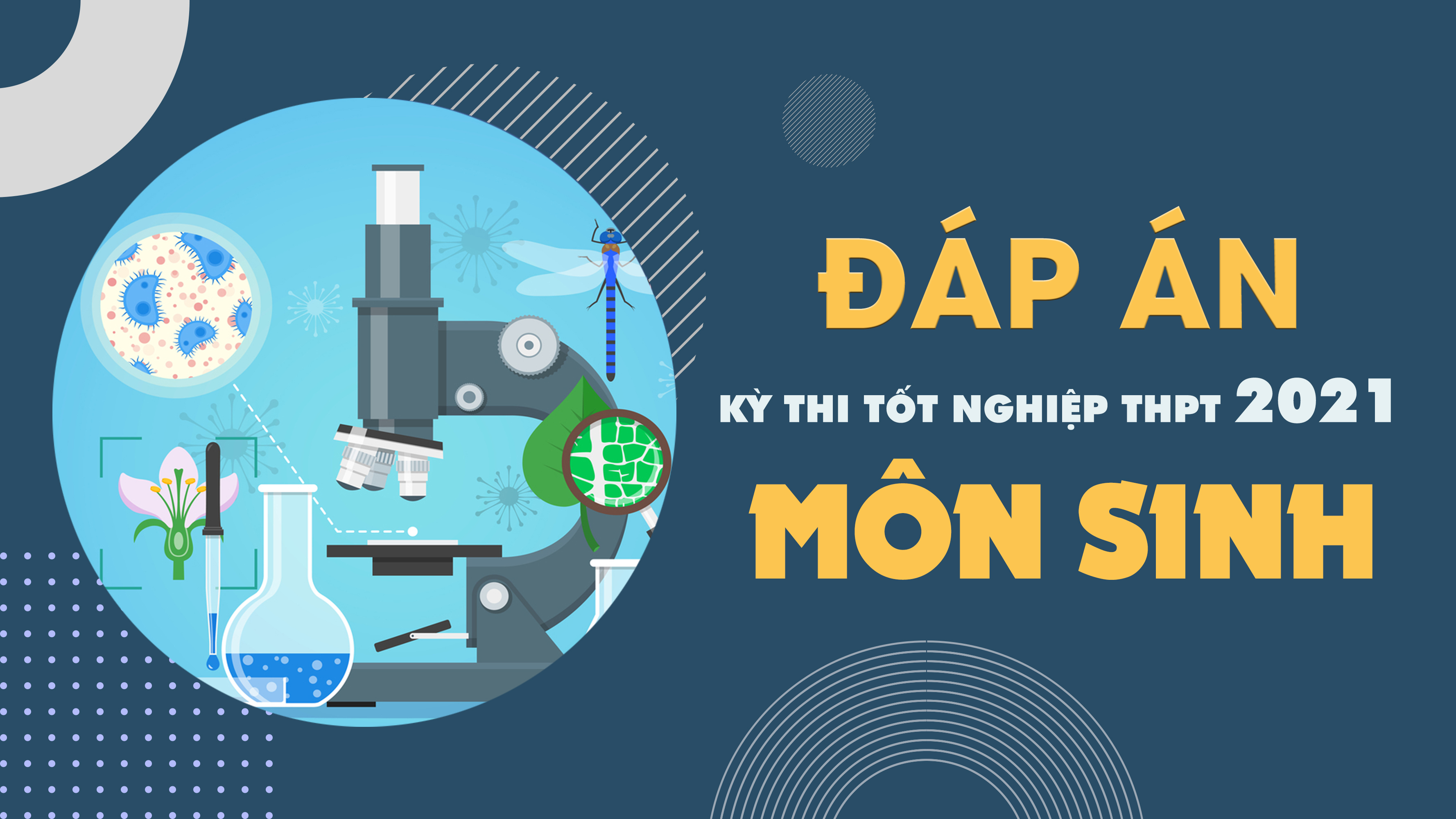 Đáp án đề thi môn Sinh học THPT Quốc gia năm 2021 - Tất cả các mã đề Sinh học