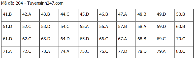 Đáp án đề thi môn Hóa mã đề 204 THPT Quốc gia lần 1 năm 2021.