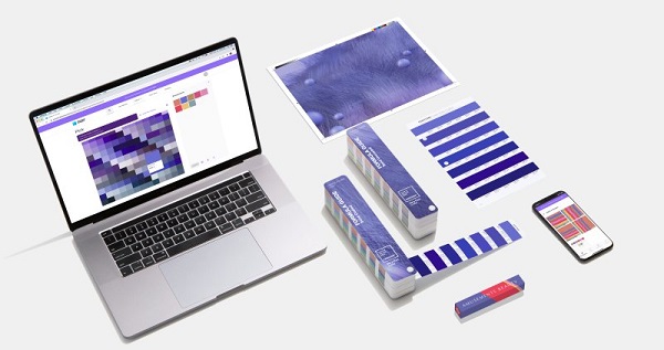 Màu hoa dừa cạn được chọn là màu sắc chủ đạo của năm 2022