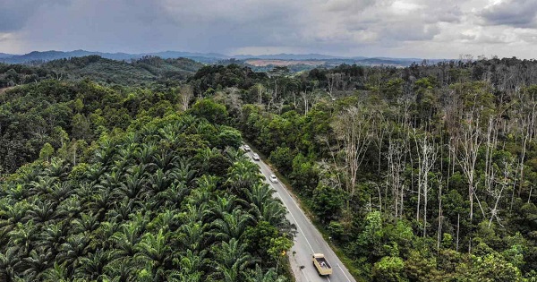 Indonesia dời đô từ Jakarta sang đảo Borneo