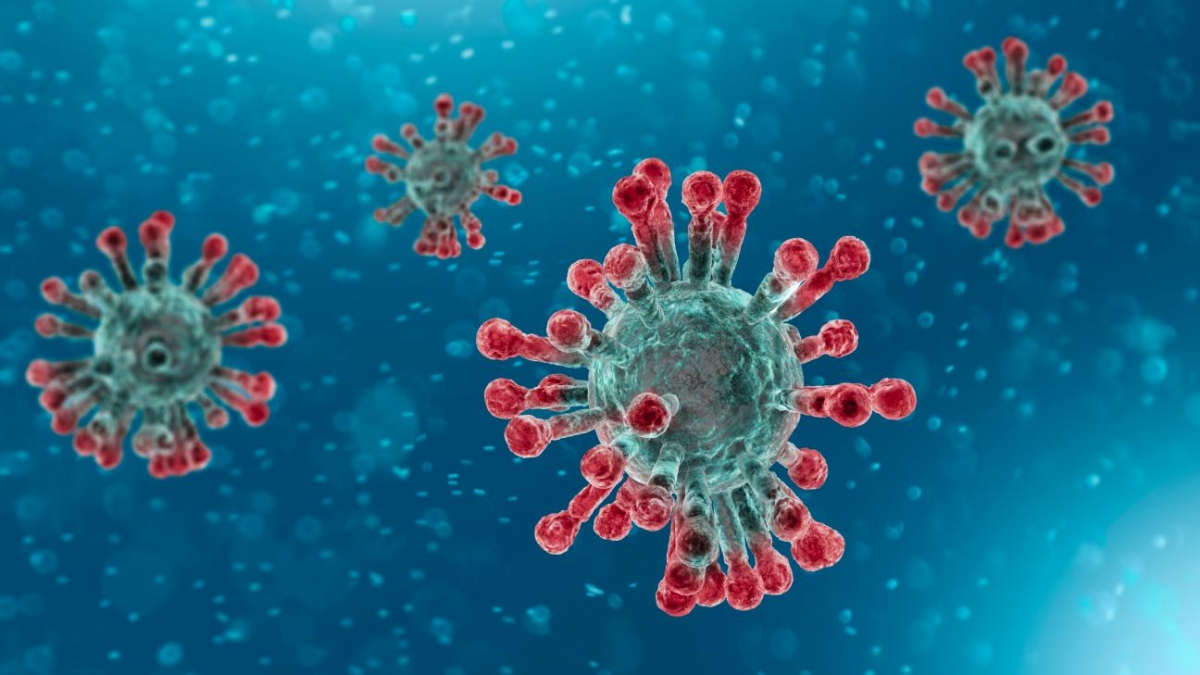 Các nhà khoa học tới từ Đại học Bristol (Anh) cho biết khó có thể loại bỏ hoàn toàn viruss SARS-CoV-2 ra khỏi cơ thể.