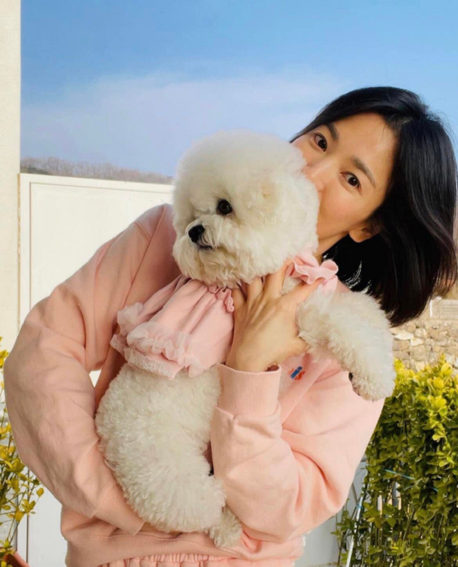 Tuổi 40, Song Hye Kyo khoe mặt mộc cũng khiến cộng đồng mạng chao đảo - Ảnh 1