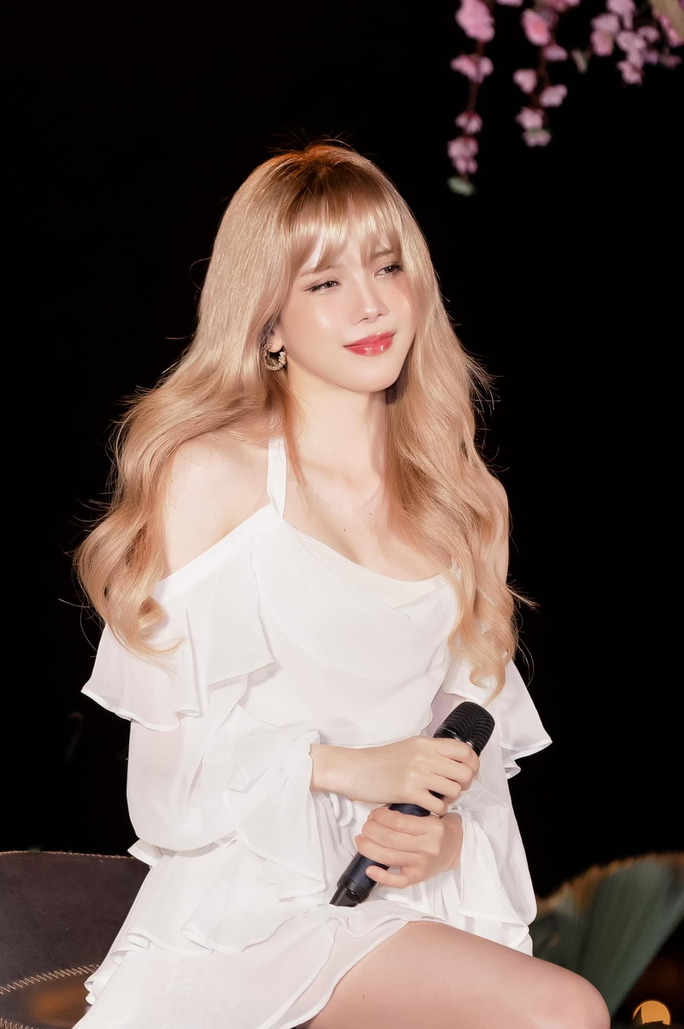 Thiều Bảo Trâm: - Ảnh 2