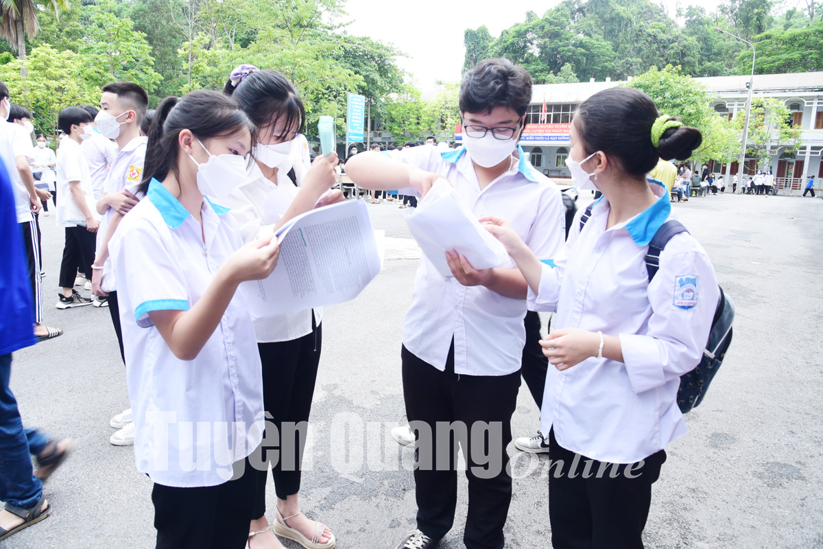 Tra cứu điểm thi tuyển sinh lớp 10 năm 2022 Tuyên Quang mới nhất - Ảnh 1