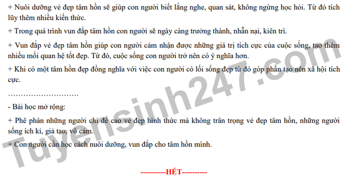 Đáp án đề thi môn Ngữ văn thi vào lớp 10 THPT TP. Hà Nội 2022 - Ảnh 3