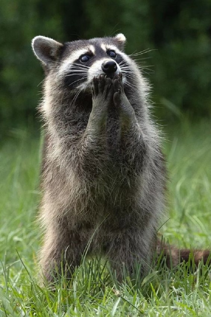 1500+ hình ảnh avatar buồn cô đơn tâm trạng - Ảnh 1