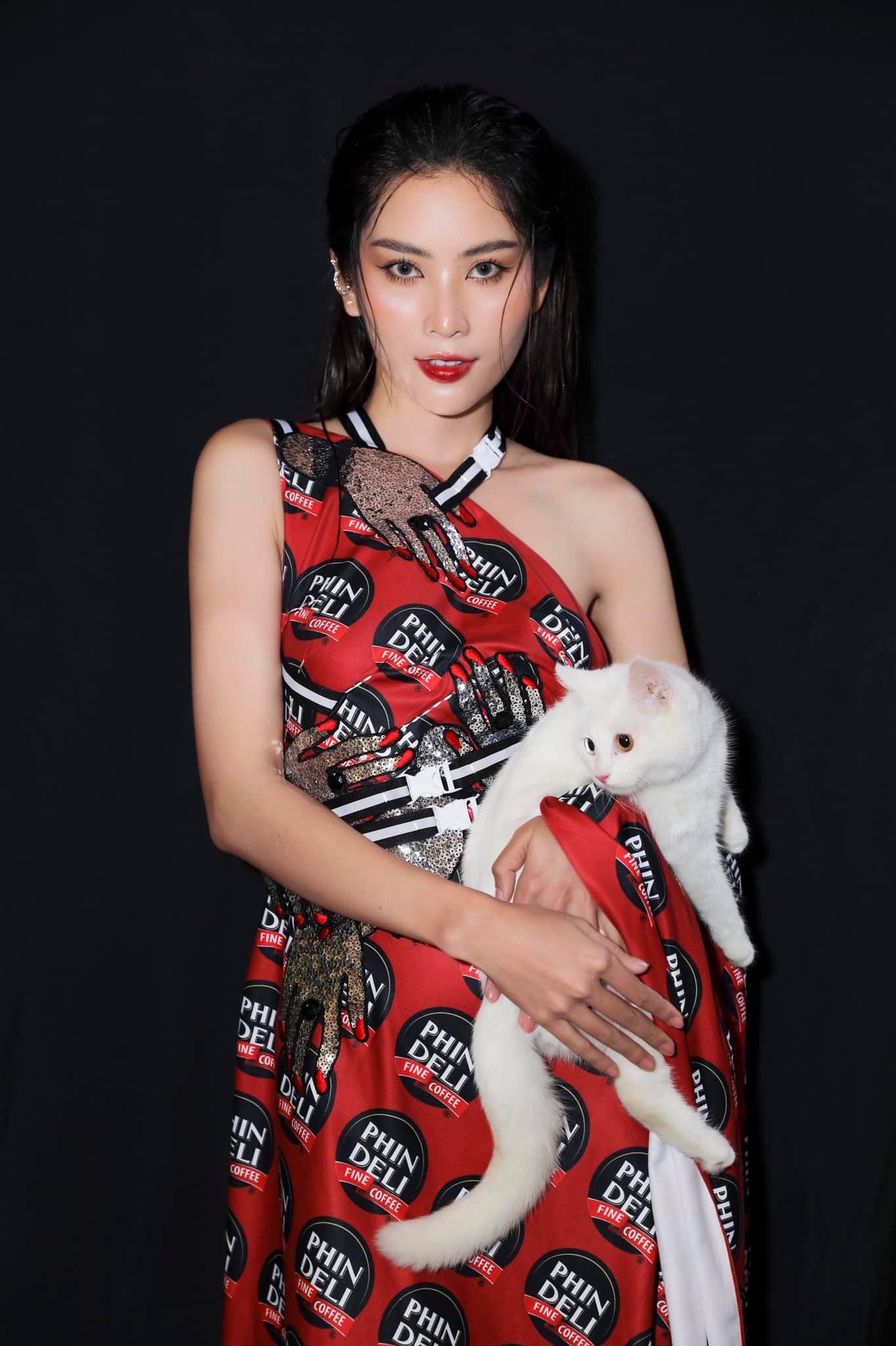 Lệ Nam là ai? - Ảnh 4