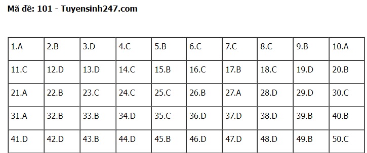 Đáp án đề thi môn Toán mã đề 101 kỳ thi tốt nghiệp THPT 2022 - Ảnh 1