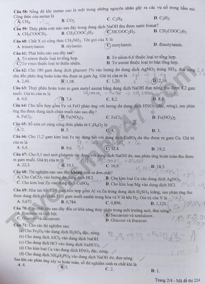 Đáp án đề thi môn Hóa học mã đề 203 kỳ thi tốt nghiệp THPT 2022 - Ảnh 2
