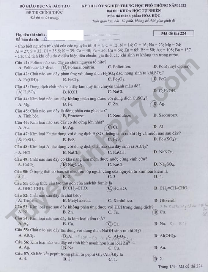 Đáp án đề thi môn Hóa học mã đề 203 kỳ thi tốt nghiệp THPT 2022 - Ảnh 4