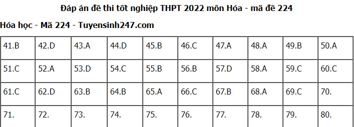 Đáp án đề thi môn Hóa học mã đề 203 kỳ thi tốt nghiệp THPT 2022 - Ảnh 1