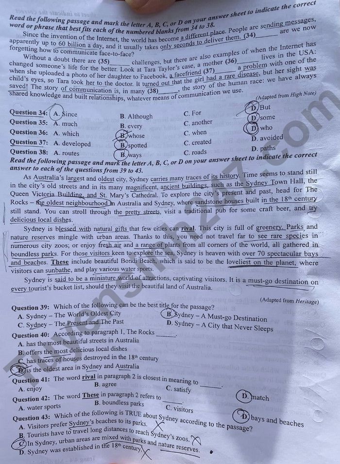 Đáp án đề thi môn tiếng Anh mã đề 411 kỳ thi THPT Quốc gia 2022 - Ảnh 1
