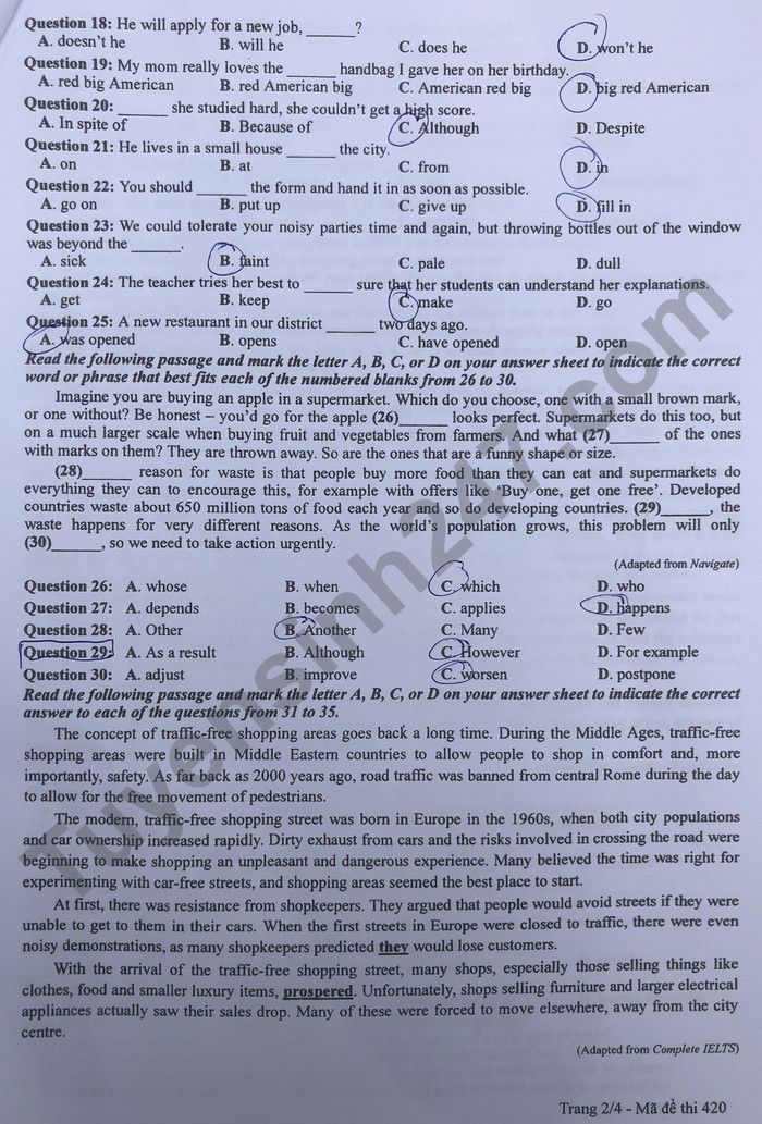 Đáp án đề thi môn tiếng Anh mã đề 420 kỳ thi THPT Quốc gia 2022 - Ảnh 2