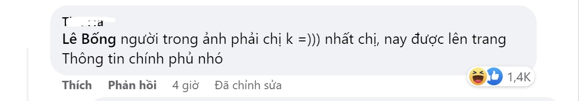 Lê Bống bất ngờ xuất hiện trên trang Thông tin Chính phủ - Ảnh 1