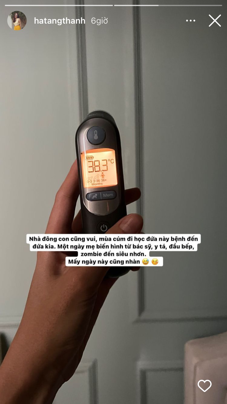 Tăng Thanh Hà - Ảnh 1