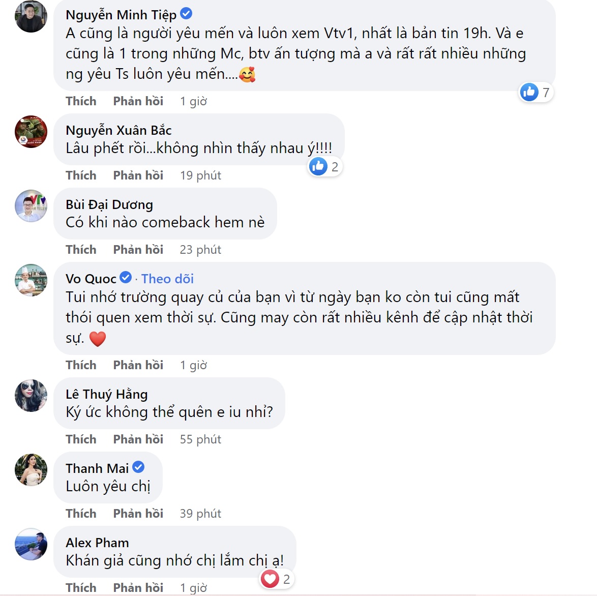 BTV Hoài Anh - Ảnh 2