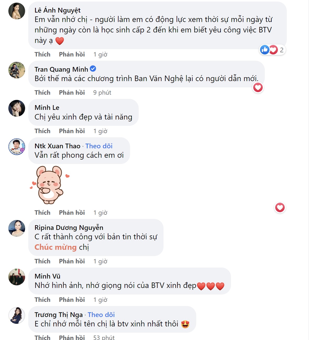 BTV Hoài Anh - Ảnh 1