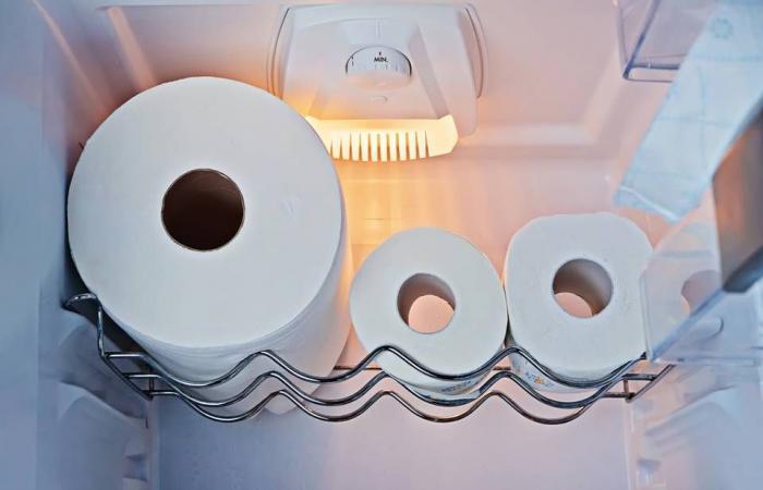 Chị em rỉ tai nhau đặt cuộn giấy vệ sinh vào tủ lạnh để thấy điều diệu kì sau một đêm - Ảnh 2