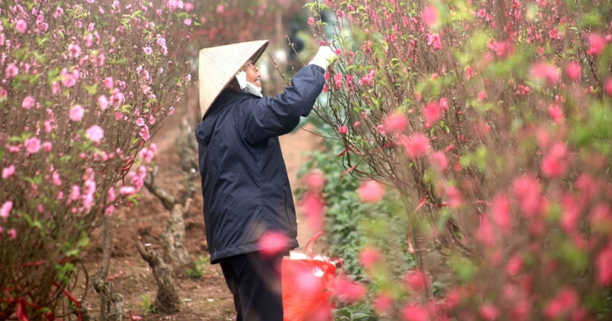 Tết Âm lịch 2023, người lao động có thể được nghỉ từ 7 đến 9 ngày