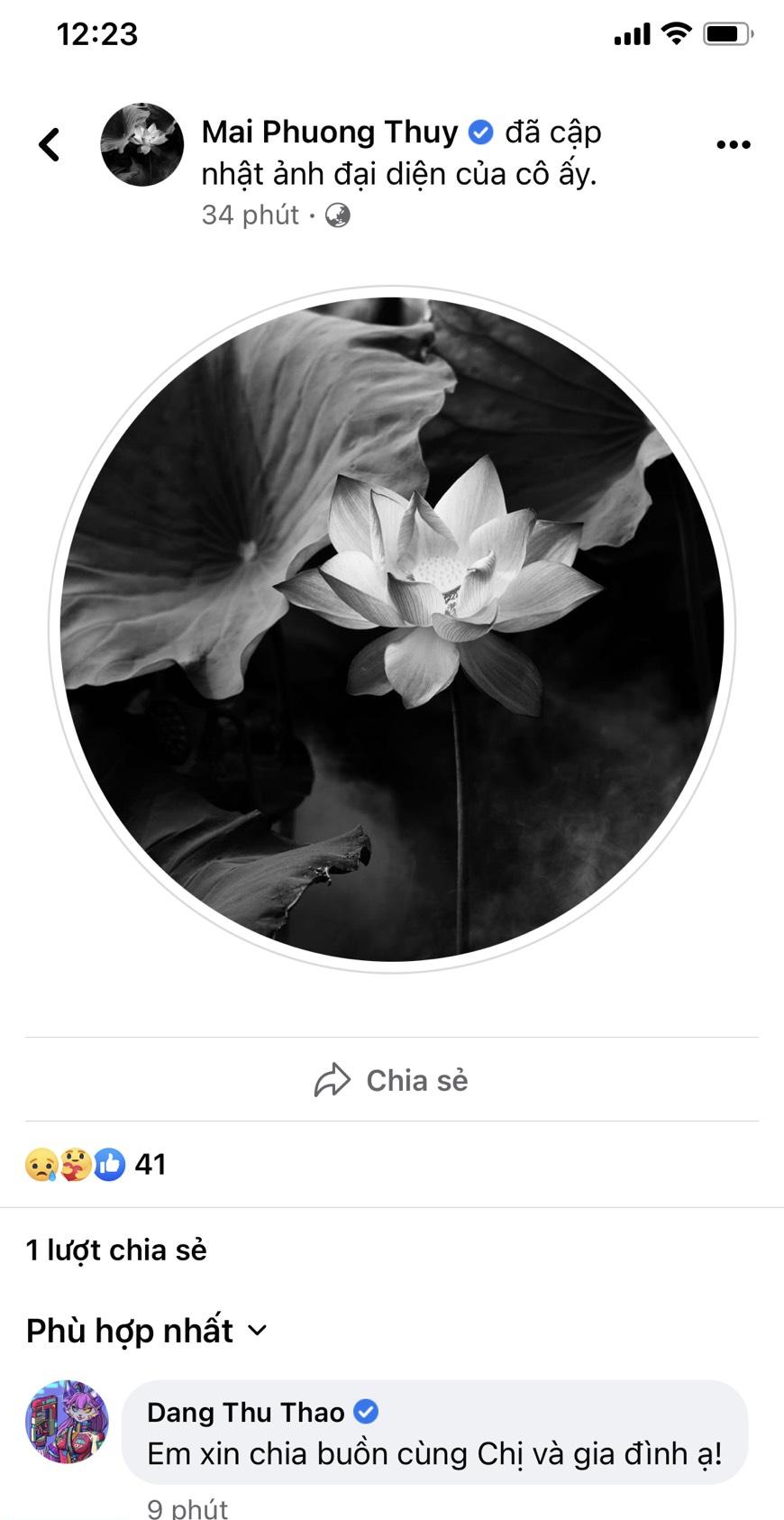 Mai Phương Thúy - Ảnh 1