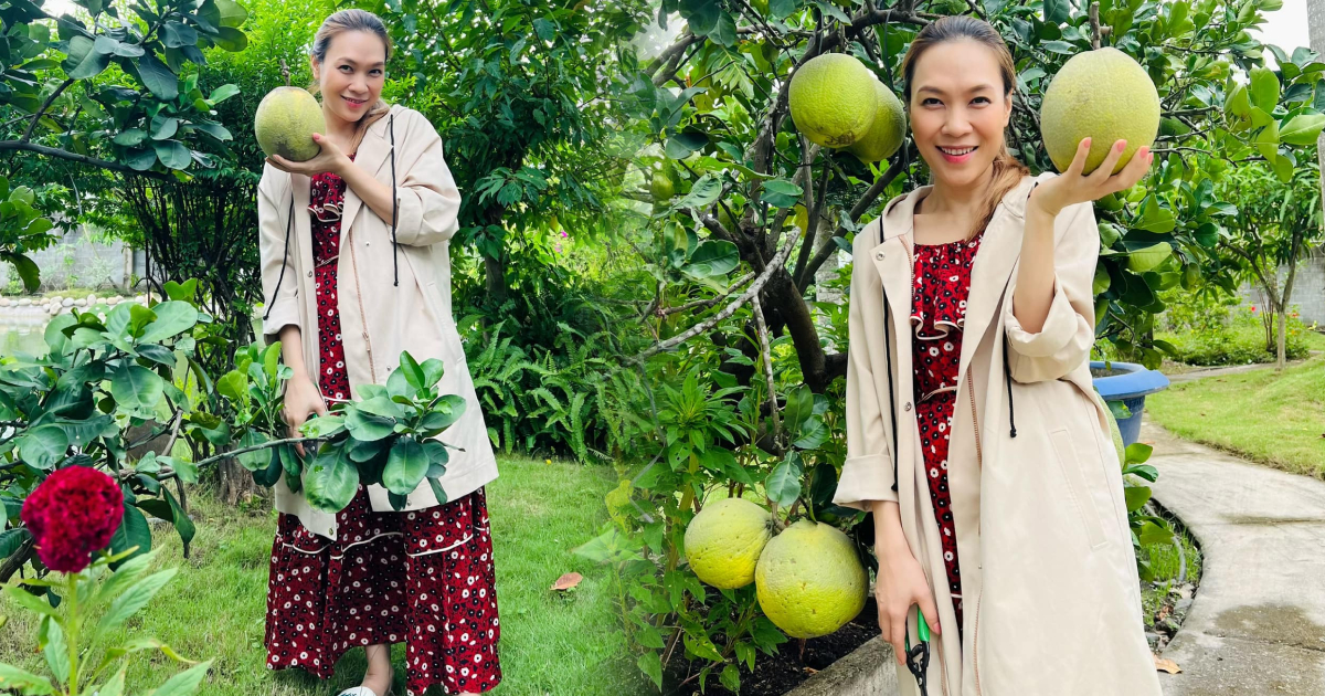 Mỹ Tâm đăng ảnh đi hái bưởi, fan rần rần "sao giống người có bầu quá trời"