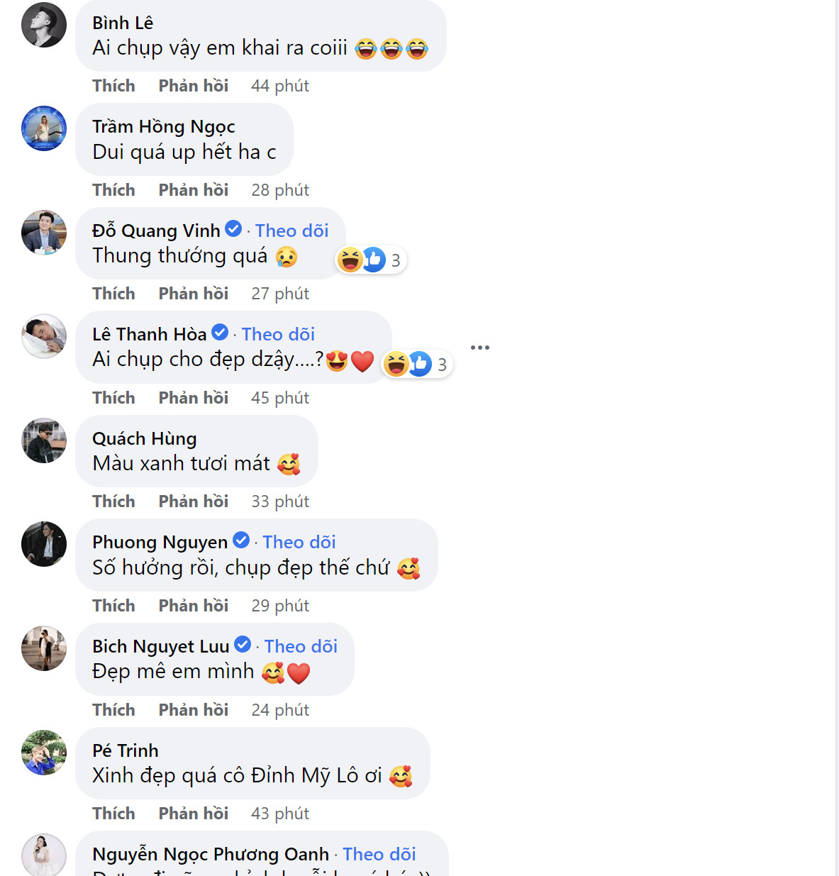 Đỗ Mỹ Linh - Ảnh 1