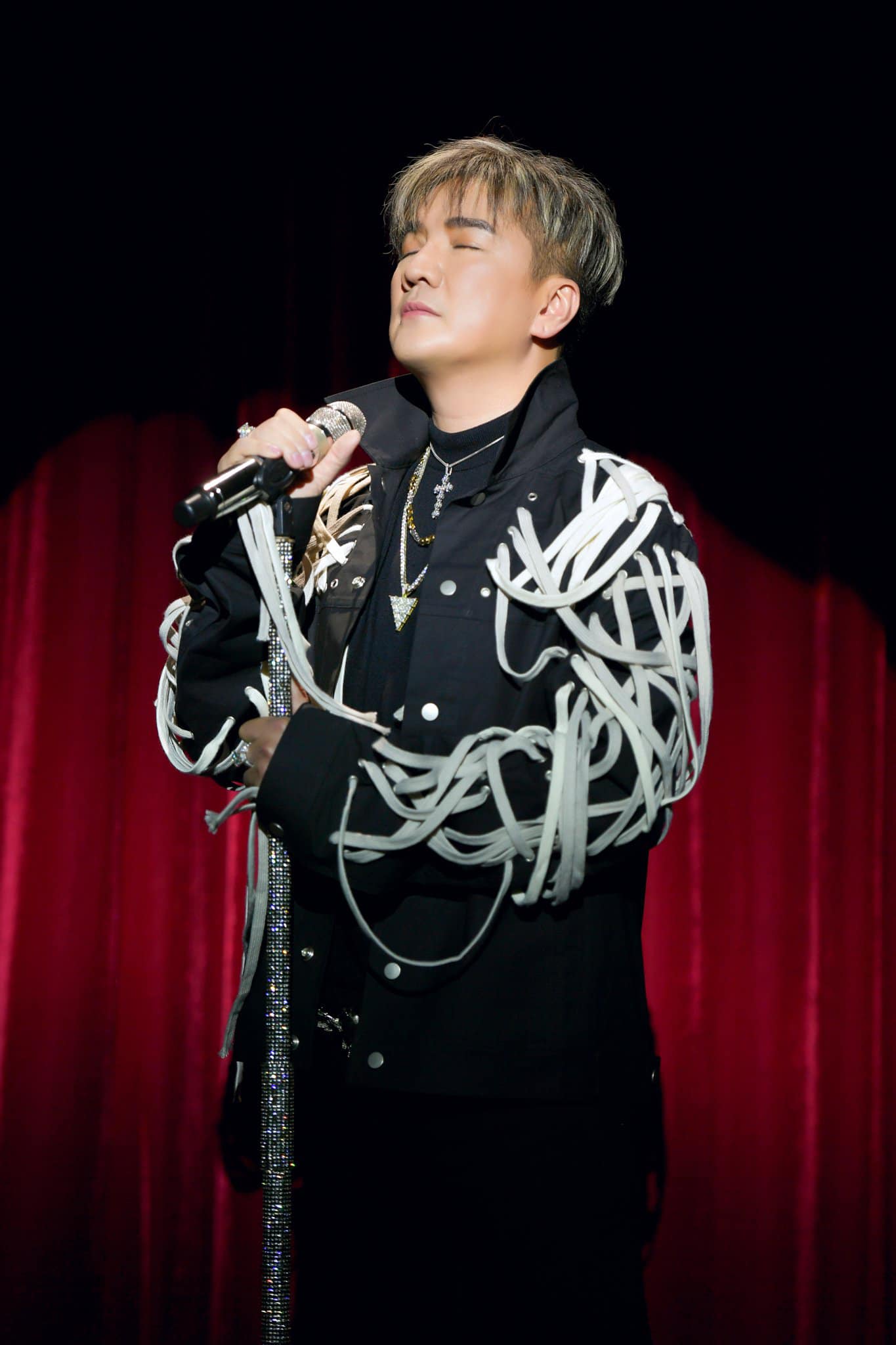 Đàm Vĩnh Hưng - Ảnh 1